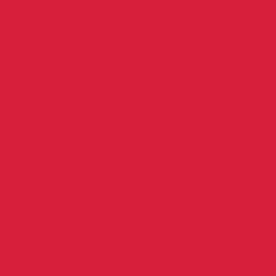 Bieżnik flizelinowy gładki AIRLAID "Basic, czerwony / 40cmx24m