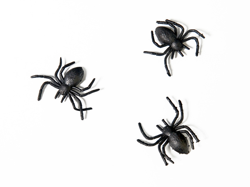 Plastikowe pająki / 3 cm