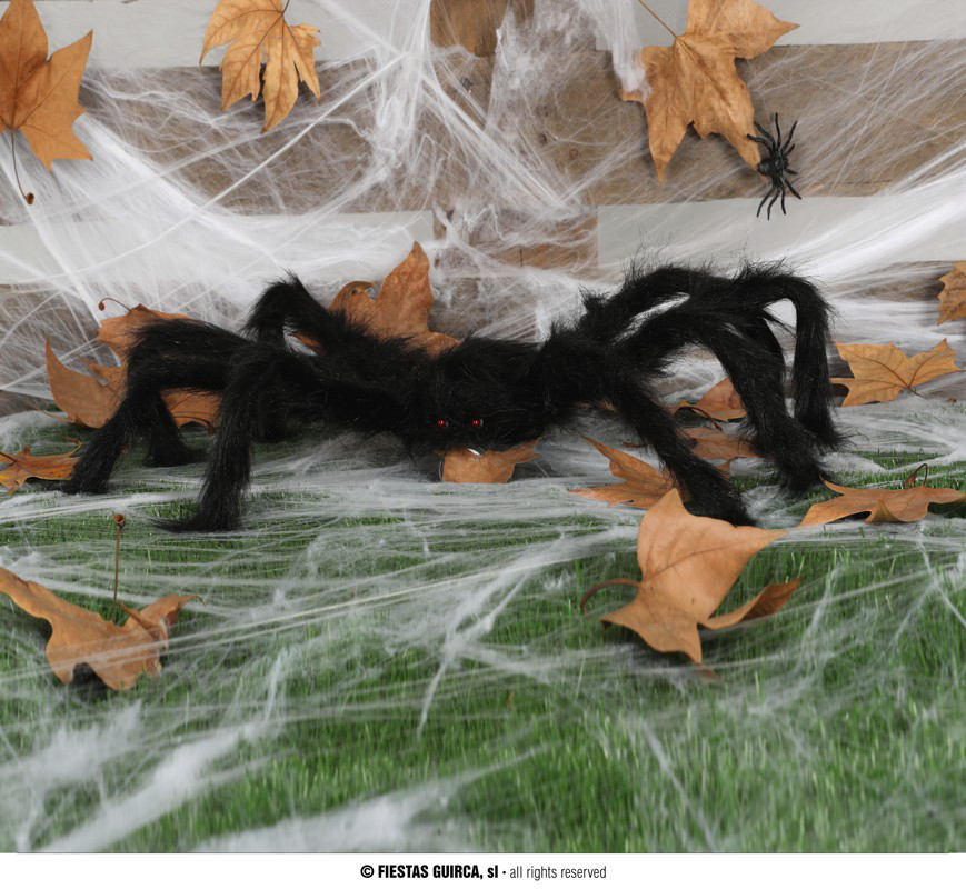 Włochaty pająk / 60 cm