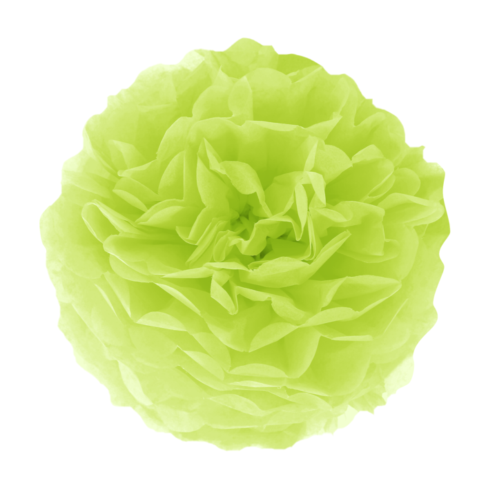 Pompon bibułowy, zielony / 25 cm