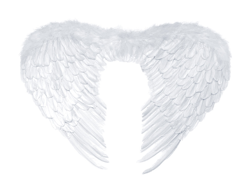 Skrzydła anioła / 76x55 cm