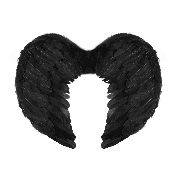 Skrzydła anioła czarne / 45x35 cm