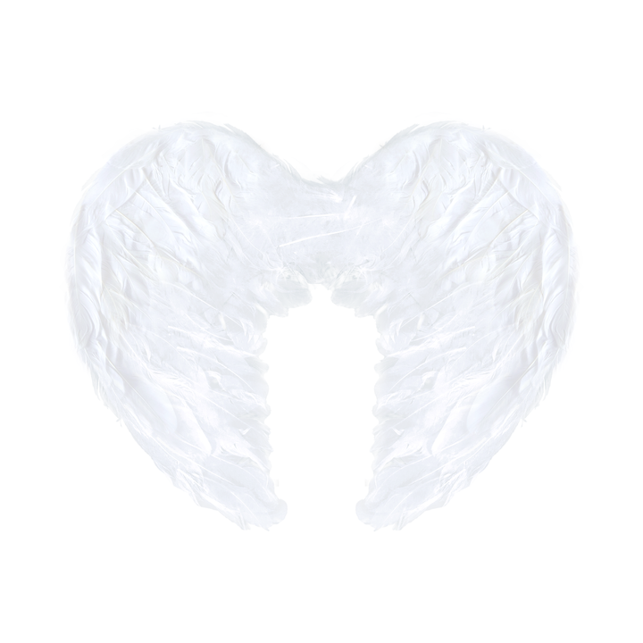 Skrzydła anioła białe / 45x35 cm